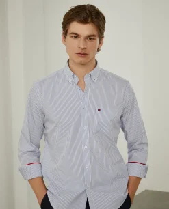 Camisa de riscas regular fit em popelina