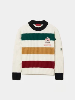 Camisola malha tricotada Lion x FDI