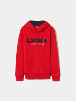 Sweater de algodão com capuz