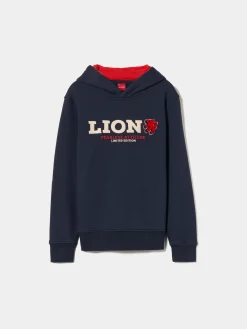 Sweater de algodão com capuz