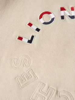 Sweater de algodão com capuz