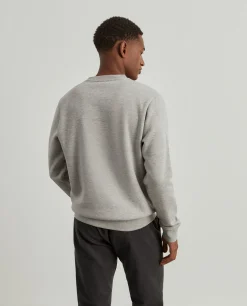 Sweater Lion of Porches