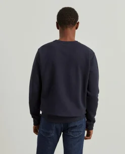 Sweater Lion of Porches