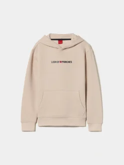 Sweater Lion of Porches com capuz