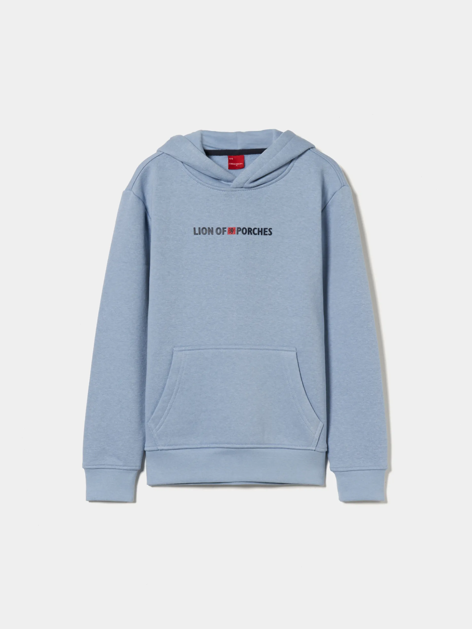 Sweater Lion of Porches com capuz