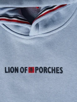 Sweater Lion of Porches com capuz