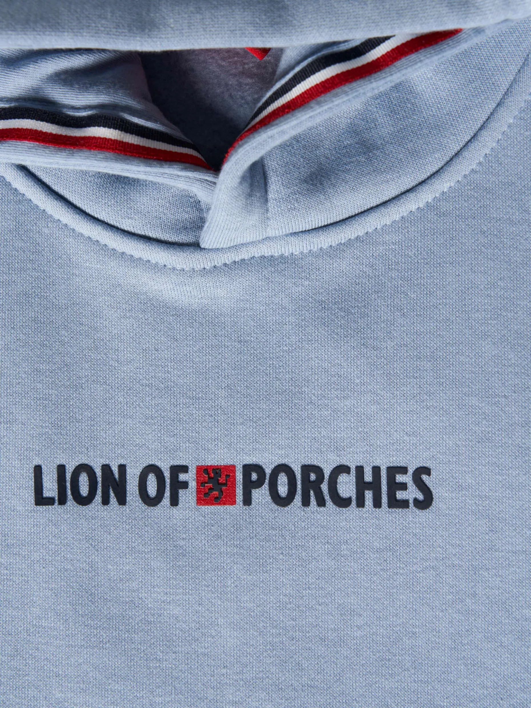Sweater Lion of Porches com capuz