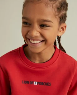 Sweater manga comprida Lion of Porches