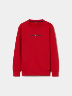 Sweater manga comprida Lion of Porches