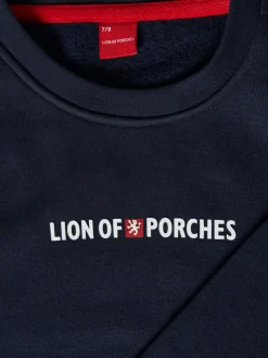 Sweater manga comprida Lion of Porches